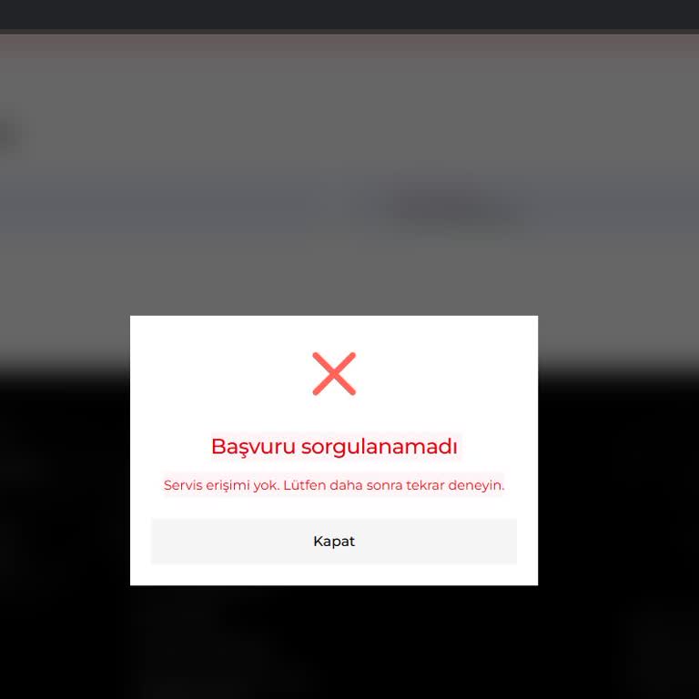 İdata Vize Başvuru Takip Sisteminde Servis Erişimi Hatası Ve Okunaksız Doğrulama Kodu