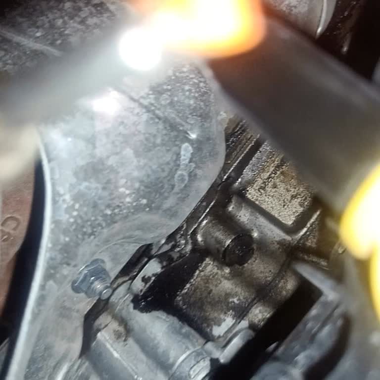 İzmir Oto Koç’tan Aldığım Ford Tourneo Courier’da Çekiş Sorunu, Yağ Kaçağı Ve Servis İhmali