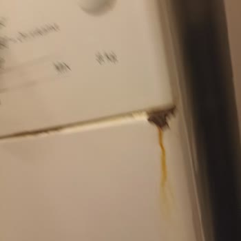 Bosch Avantixx Çamaşır Makinesinde Kapsamlı Paslanma Ve Ücretsiz Kaporta Değişimi Talebi