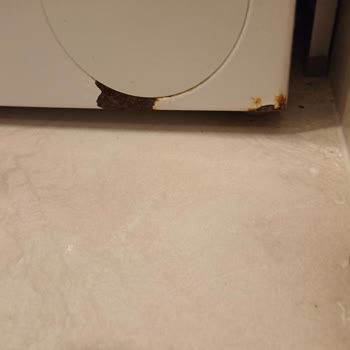 Bosch Avantixx Çamaşır Makinesinde Kapsamlı Paslanma Ve Ücretsiz Kaporta Değişimi Talebi