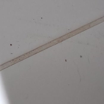 Philips 8000 Aura Süpürge Kırıntıları Tekrar Yere Düşüyor, Değişim Talebi
