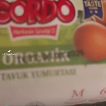Gordo Yumurta Bu Başka Bir Seviye Artık! Yeşil Yumurta!
