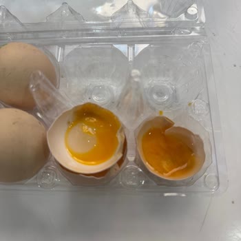 Migros Şubesinde Bozuk Yumurta Nedeniyle Ücret İadesi Talebi