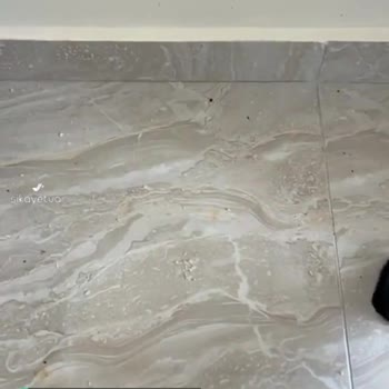 Tefal Şarjlı Süpürge Çekmiyor