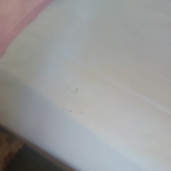 Kirli Odalar, Bozuk Tesisler Ve Cevapsız Talep: Jolly Tur’da Tatil Kabusu