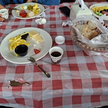 Vaat Edilen Tur Ve Otel Şartları Karşılanmadığı İçin Maddi Ve Manevi Mağduriyet Yaşadım