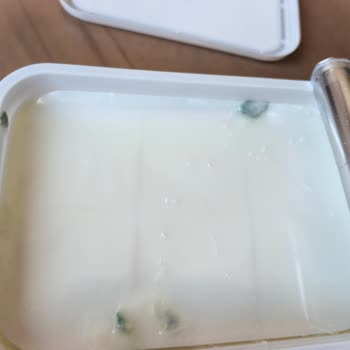Ekici Peynir Üzerinde Yeşil Küf Benzeri Oluşumlar Gördüm