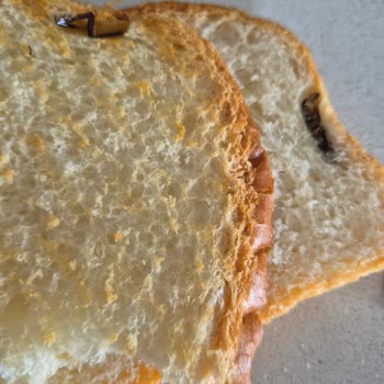 Rize Fındıklı'da Şok Market'ten Alınan Tamköy Tost Ekmeğinde Böcek Bulundu