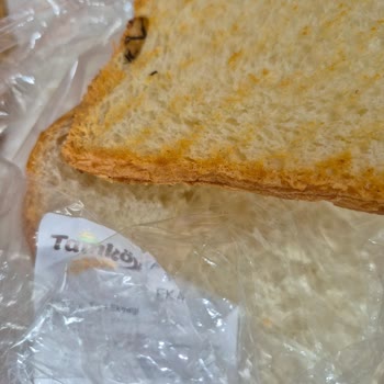 Rize Fındıklı'da Şok Market'ten Alınan Tamköy Tost Ekmeğinde Böcek Bulundu