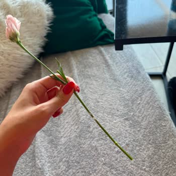Çiçek Sepeti'nden Solmuş Buket Ve Cevapsız Müşteri Hizmeti
