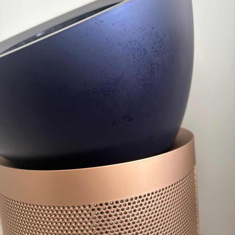 Dyson Hava Temizleyicinin Yüzey Deformasyonu Ve Destek Reddi