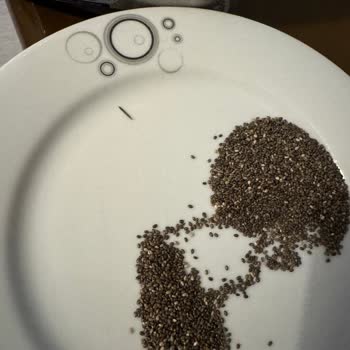 Chia Tohumunda Solucan Benzeri Canlılar Bulundu Sağlık Ve Güvenlik Tehlikesi