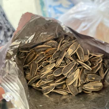 İki Pakette Çürük Çekirdek: Dakota Çekirdeği Kalite Kontrol Sorunu