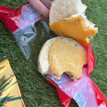 Son Kullanma Tarihi Geçmemiş Çıtır Tavuk Burgerde Bozulma Ve Sağlık Endişesi