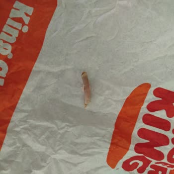 Burger King Menüsünde Tavuk Tırnağına Benzeyen Yabancı Madde Bulundu