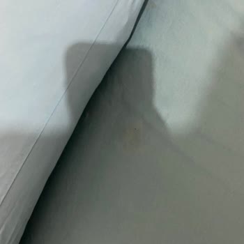 Grand Aral Otel Aksaray Temiz Olmayan Odalar
