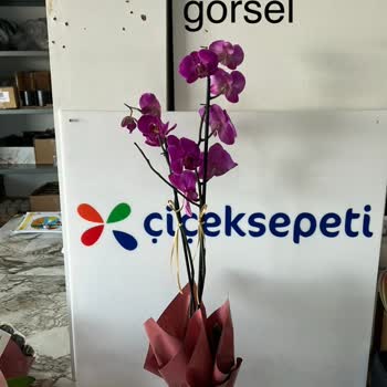 Çiçek Sepeti Ankara Mamak Satıcısının Saygısız Üslubu Ve Geciken İade
