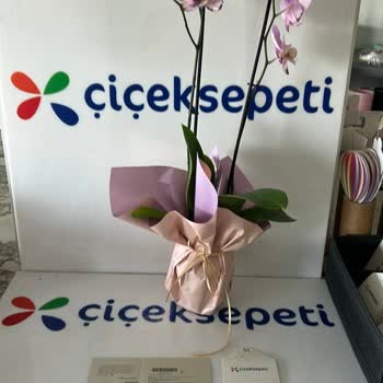 Çiçek Sepeti Ankara Mamak Satıcısının Saygısız Üslubu Ve Geciken İade