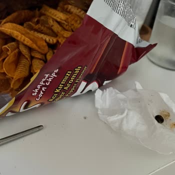 Patos Rolls Cipsinde Böcek Benzeri Yabancı Madde Çıktı