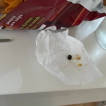 Patos Rolls Cipsinde Böcek Benzeri Yabancı Madde Çıktı