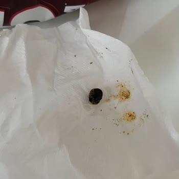 Patos Rolls Cipsinde Böcek Benzeri Yabancı Madde Çıktı