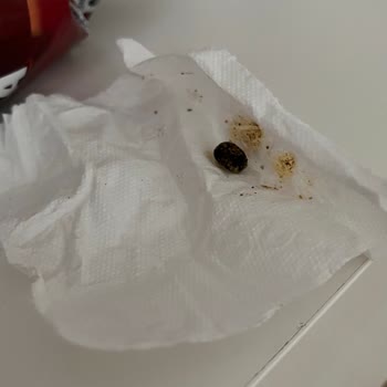 Patos Rolls Cipsinde Böcek Benzeri Yabancı Madde Çıktı