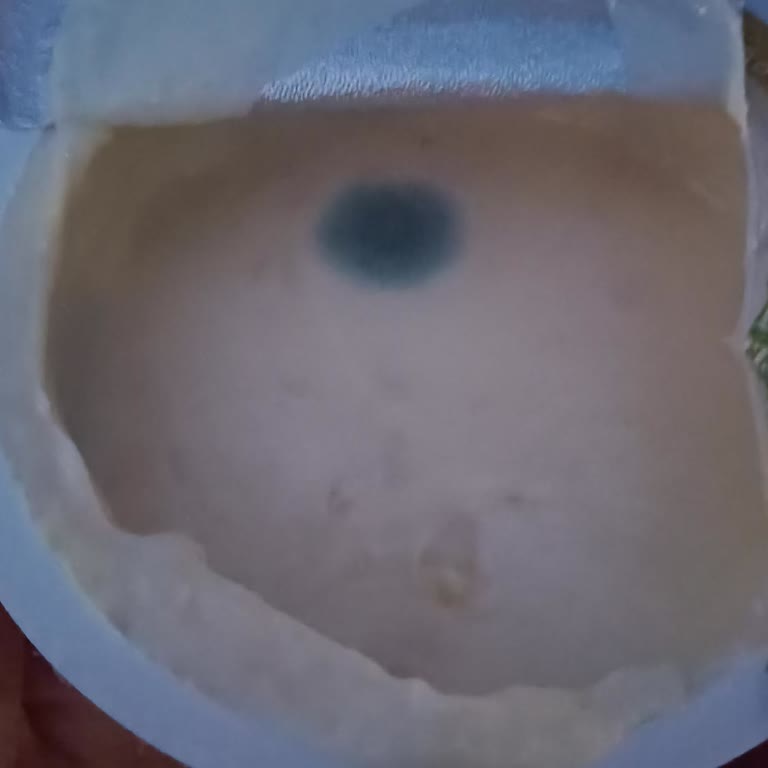 Mavi Küflü Yoğurtta Sağlık Endişesi Ve İade Talebi
