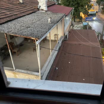 Kedinin Canı Tehlikede İtfaiye Yetkilileri İzin Ve Tehdit Şart Koştu