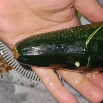 Uğur Soğutma Sebzelerim Kullanılamaz Hale Geliyor