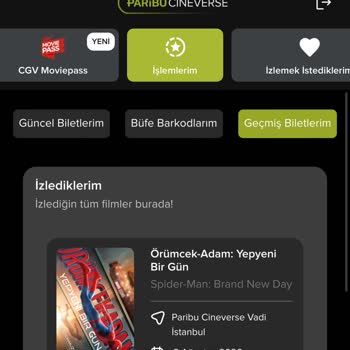 ScreenX Premium Deneyimi Hayal Kırıklığı Görüntü Çakışması Ve Donmalar