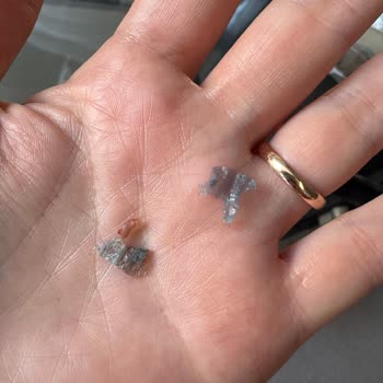 Migros Hamburger Köftesinde Mavi Plastik Yabancı Madde Bulundu