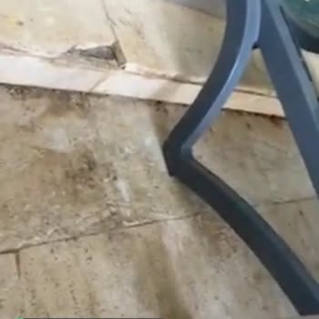 Kefaluka Resort Havuz Kenarları Temizlenmiyor Bir Sürü Sinekler Var!