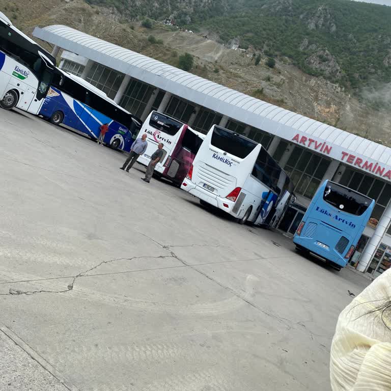 Köpekle Seyahat Hakkımı İhlal Eden Şoför Ve Personel Tarafından Zorla İndirildim