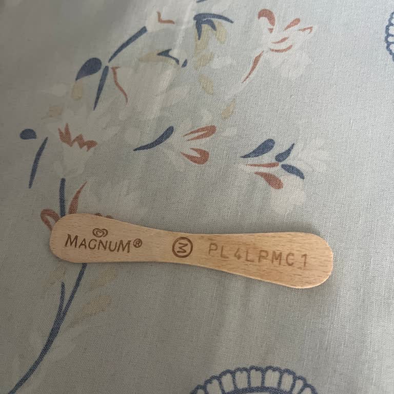 Kullanmadığım Şifre Çekilişte Kullanılmış Görünüyor: Magnum’da Haksızlık