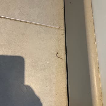 Lekeli Çarşaf Ve Üstünkörü Kat Temizliği Misafir Memnuniyetini Sarsıyor