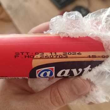 Aytaç Salamında Yabancı Böcek Benzeri Cisim Tespit Edildi