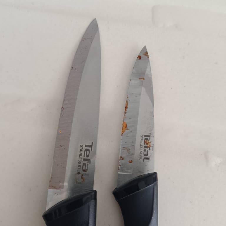 Tefal Bıçak Setinde Pas Sorunu Ve Yüksek Servis Masrafı