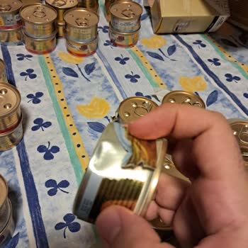 Ezilmiş Kedi Mamaları Geri Ödeme Talebim Reddedildi