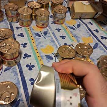 Ezilmiş Kedi Mamaları Geri Ödeme Talebim Reddedildi