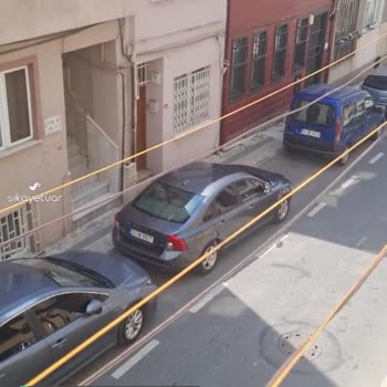 Üsküdar Belediyesi Köpek Havlaması Şikayeti