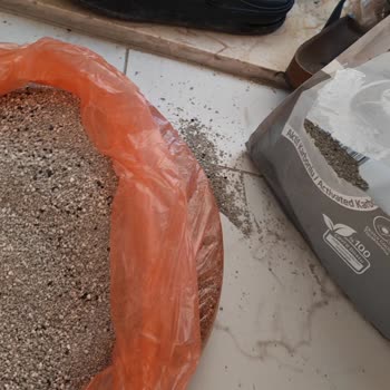 Yanlış Marka Kedi Kumu Ve Patlayan Paketler Nedeniyle Kötü Alışveriş Deneyimi