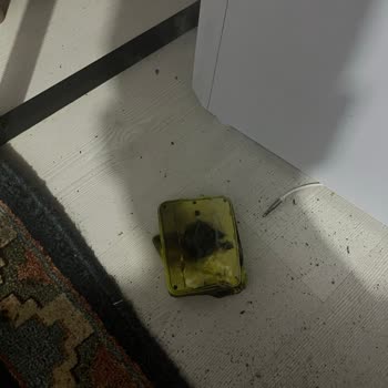Grundig Hoparlör Kendiliğinden Patlayarak Evde Yangın Oluşturdu!