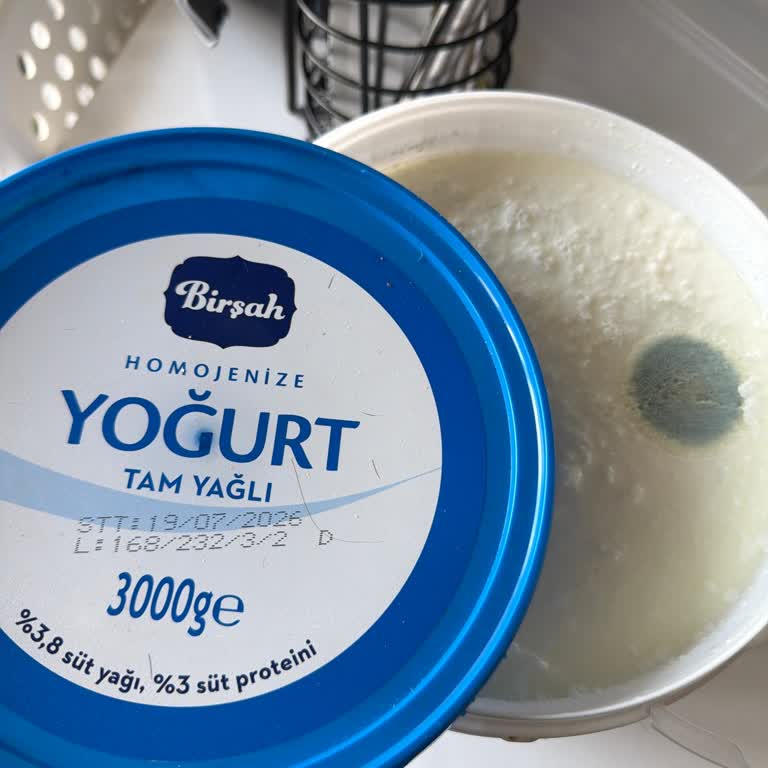 A101 Tarihi Geçmiş Yoğurtta Küf, Sağlık Riski Ve Denetim Talebi
