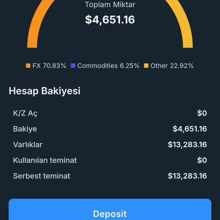 Nerox Invest'ten Yatırım Sözleşmesi İhlali Ve İade Talebi