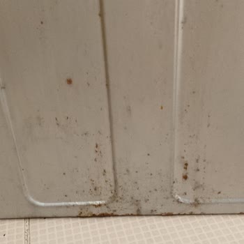 Beko FT401 Fırınında Hızlı Paslanma Ve Kabarma Sorunu