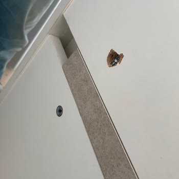 Teslimat Gecikmesi Ve Teşhir Ürün Gönderimi Nedeniyle Mağduriyet
