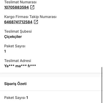 Kargo Gecikmesi Ve Kaba Müşteri Temsilcisi