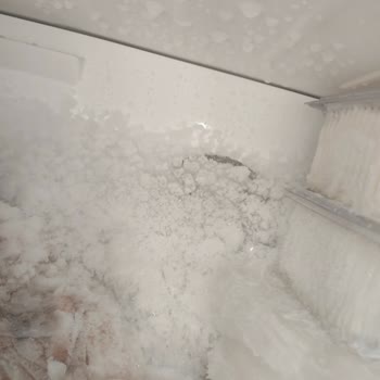 Bosch Buzdolabında Aşırı Buzlanma Ve Servise Ulaşılamama