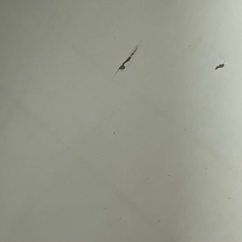 Mutfak Dolabında Kırık Ve Çizik; Kısmi İade Talebi