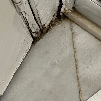 Oda Hijyeni Ve Teknik Arızalar Nedeniyle Yaşanan Şiddetli Mağduriyet